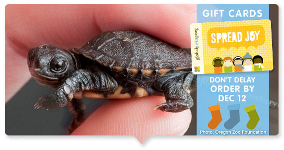 GlobalGiving Gift Cards - Free Shipping