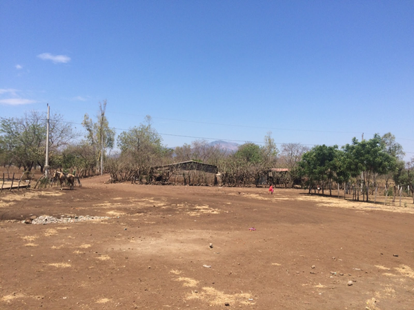 International Grantmaking
