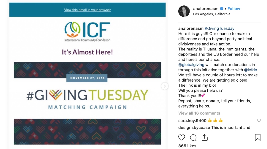 Nonprofit Instagram Case Study