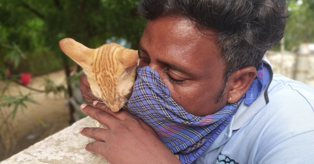 man with a rescue cat. nonprofit covid solutions
