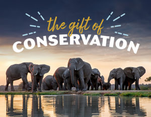 The Gift of Conservation