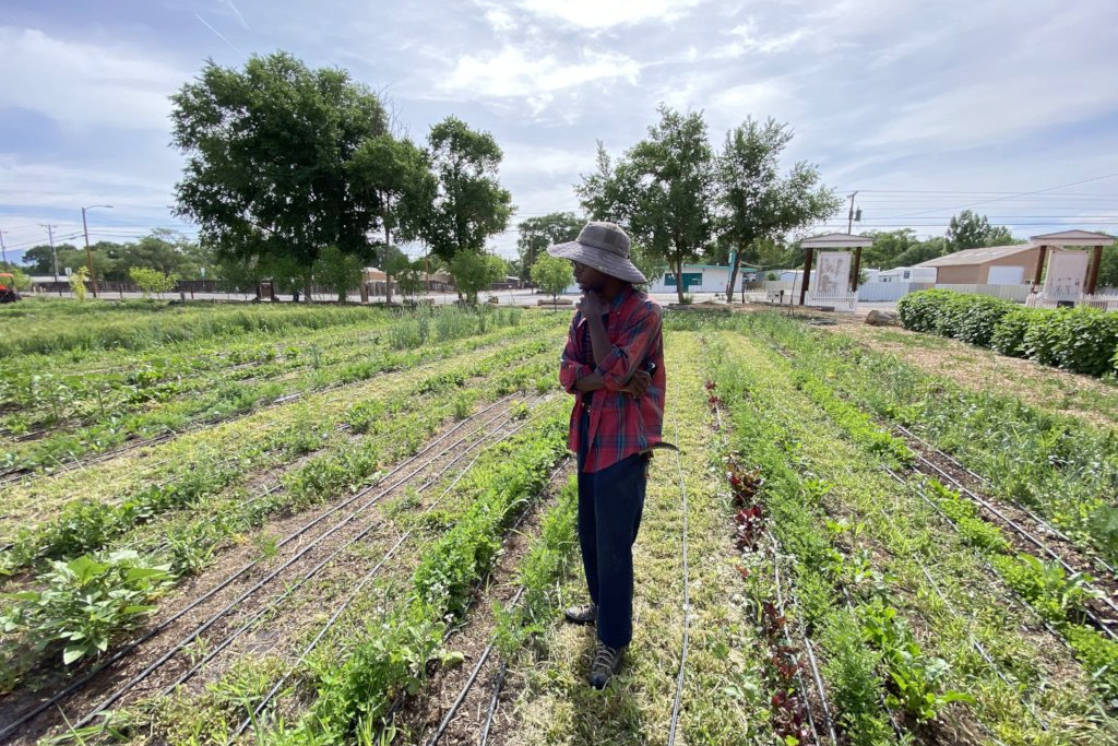 A person stands in the middle of a garden. Trees are in the background and clouds are in the sky.