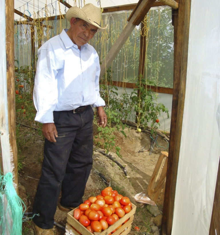 A man in a hat and button-down shirt stands behind a wooden box filled with red tomatoes—part of a community-based climate action plan