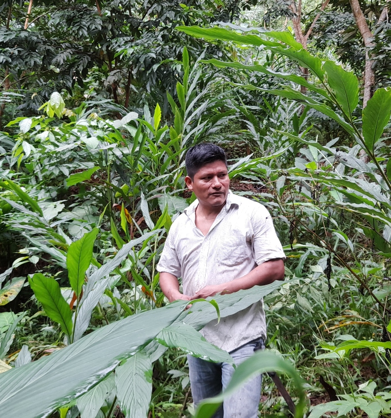 A man in a white striped shirt stands in lush vegetation—a result of community-based climate action