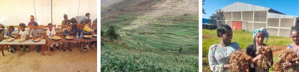 An image of a green agricultural field side-by-side with an image of three women holding their harvest