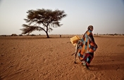 Food Crisis in West Africa