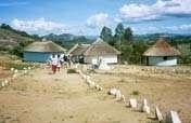project picture