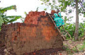 Engaging Ugandan AIDS Widows in Business