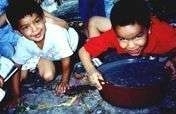 project picture