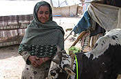Livelihoods for Women Widowed by the Earthquake