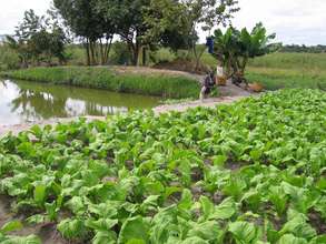 Fish to Feed HIV affected families in Malawi