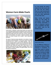 The Volunteer Story - Erin Wilkinson (PDF)