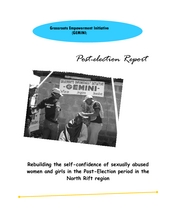 Postelection_violence_report.pdf (PDF)