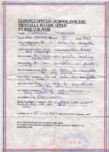 progress report form his