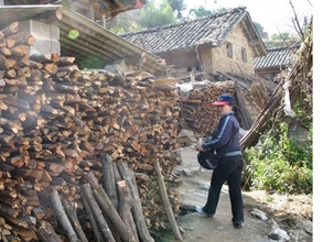 Campaign Manager Honglian surveys a massive fuelwood pile. (PDF)