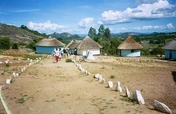Feed Starving Girls in Zimbabwe