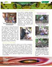 August newsletter from SEPALI Madagascar (PDF)