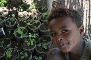 Malagasy Community Reforestation Institute 