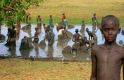 Urgent Action for Sudan Cholera Outbreak