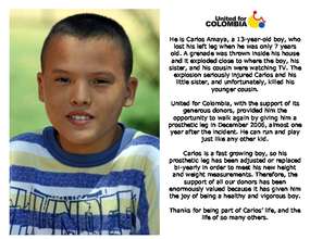 Carlos_Amaya.pdf (PDF)