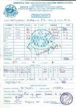 Gladys_3_Term_Report.pdf (PDF)