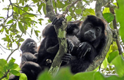 Preserving El Farallon Natl. Monument, Costa Rica