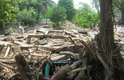 Provide Urgent Emergency Relief in Guatemala