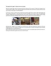 impact of livelihood support to adolescents (PDF)