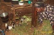 Support Earhquake Affected Families Japan