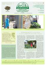 Abalimi Newsletter # 39 (PDF)