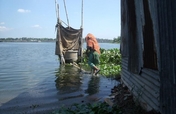 Access to Safe Water and Sanitation in Bangladesh