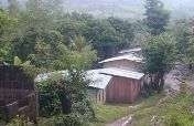 project picture