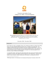 Tsunami Two Year Report (PDF)