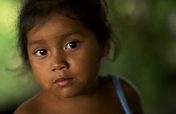 Support Sustainability for Honduran Farmers