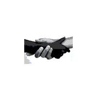 Global Stewardship Foundation Africa Logo