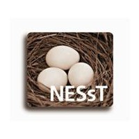 Nonprofit Enterprise and Self-Sustainability Team, Inc. (NESsT)