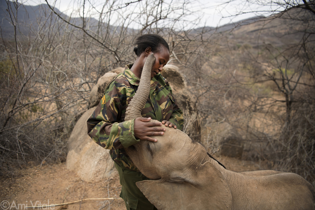 Help Kenya’s Only Community-Run Elephant Sanctuary