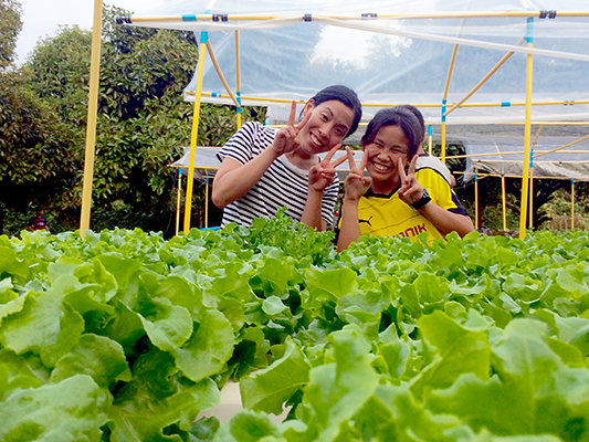 two women smiling with a bed of lettuce