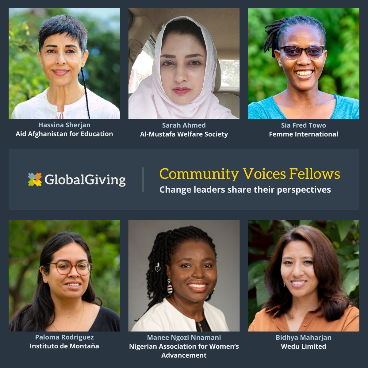 Community Voices Fellows