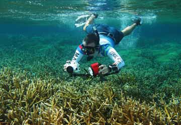 Snorkeler