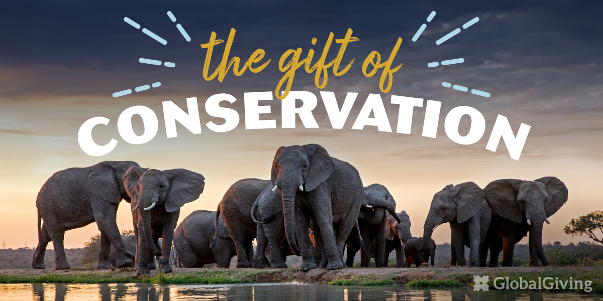 The Gift of Conservation