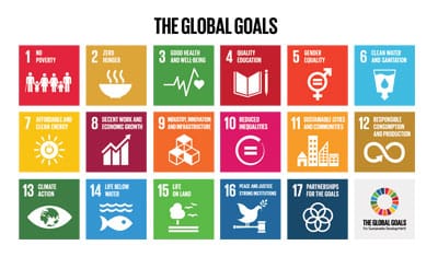 Sustainable Development Goals (SDGs)