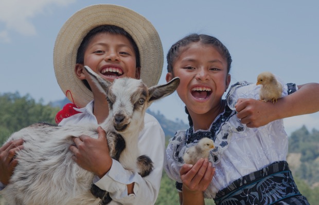 Children with farm animals, a goat and baby chickens