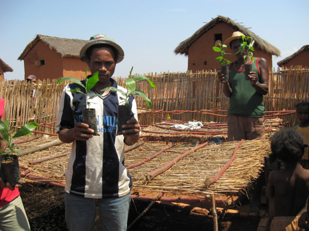 Bary and his seedlings