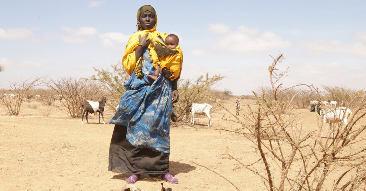 Famine Facts