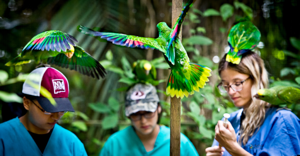 Animal Welfare GlobalGiving Learn Library