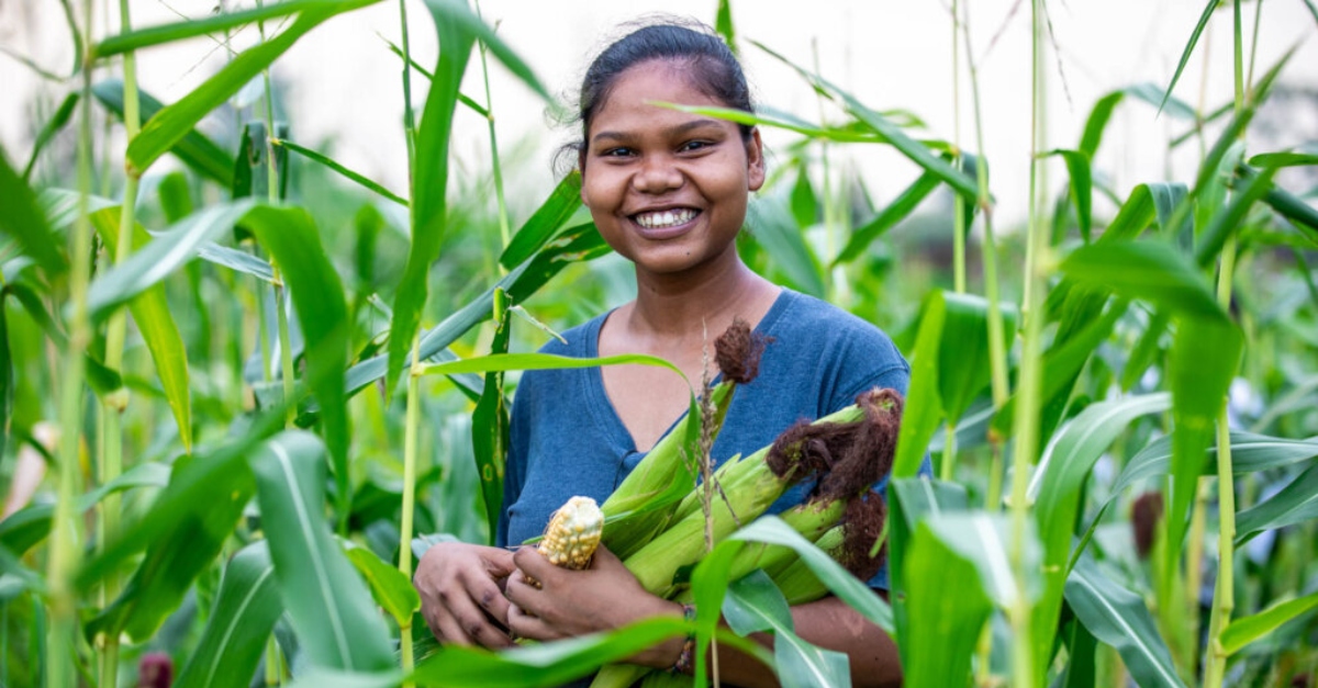 A girl stands in a cornfield with ears of corn in her arms