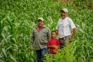 Earth champions in Mexico