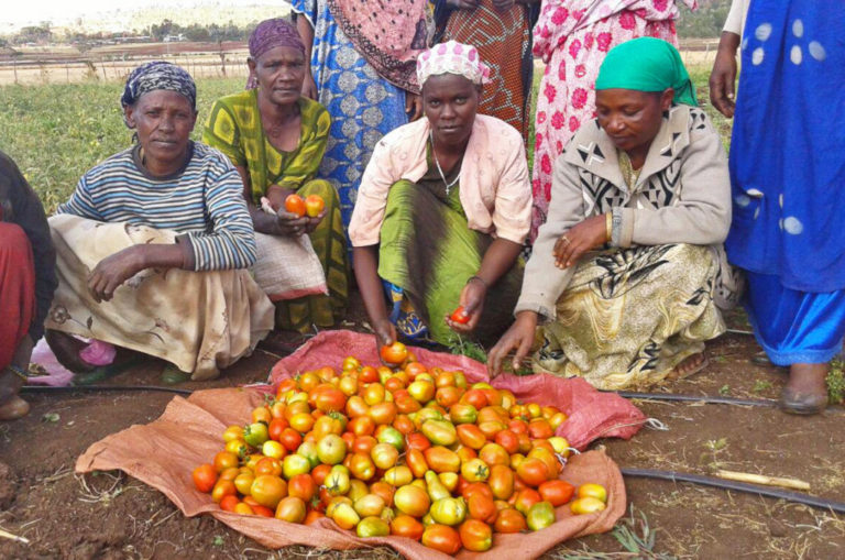 How Much Would It Cost To End World Hunger? Get The Facts.