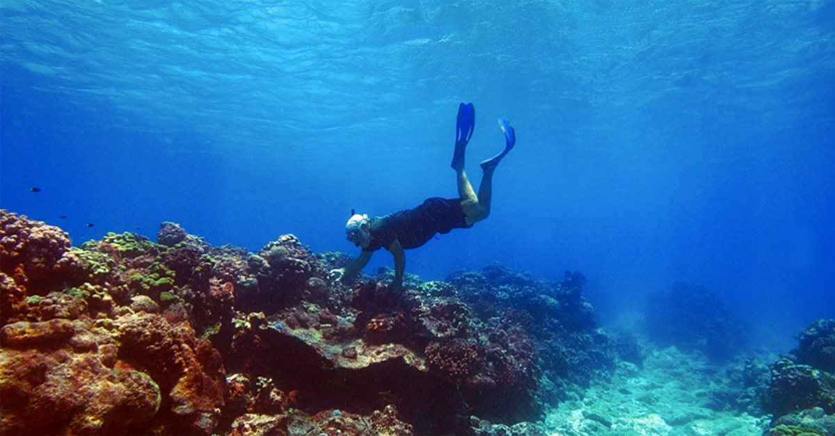 Coral conservation